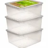Aufbewahrungsbox »Bea«, BxHxL: 33,5 x 18 x 39 cm, Kunststoff