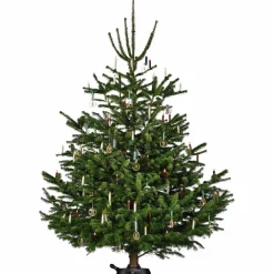 Christbaumständer »Comfort M«, für max. Baumhöhe 250 cm, max. Stamm-Ø 12 cm