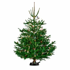 Christbaumständer »Green Line«, für max. Baumhöhe 220 cm, max. Stamm-Ø 12 cm