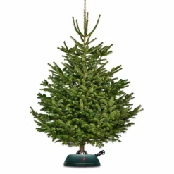 Christbaumständer »Premium XL«, für max. Baumhöhe 200 cm, max. Stamm-Ø 12 cm