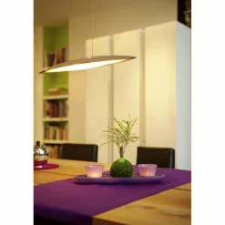 Kibonu Wunderstrauch, Codiaem Sunny »Codiaeum Sunny«