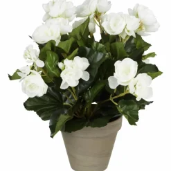 Kunstblume, Begonia, weiß, rund