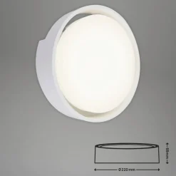 LED-Außenwandleuchte, Ø: 22 cm, Höhe: 6,8 cm, 18 W