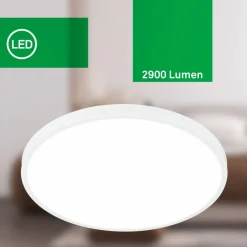 Leuchte