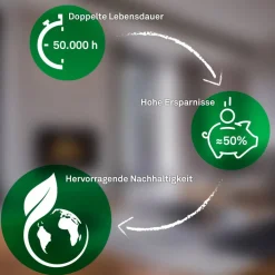 Leuchte