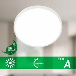 Leuchte