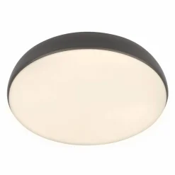 Leuchte