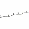 Lichterkette, 6,43 m mit 50 LED, bernsteinfarben