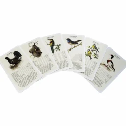 Quartett »Fliegende Edelsteine«, 56 Spielkarten, ab 5 Jahren