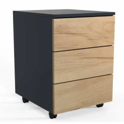 Rollcontainer »Dalosa«, BxHxL: 45 x 55 x 39 cm