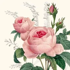 Serviette, Rose, 20 Stk., 25x25 cm, rosa