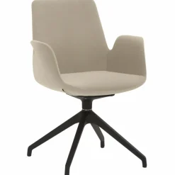 Sessel 2009
