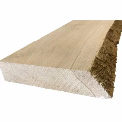 Starkholz, Eiche 4-seitig gehobelt, (BxLxH): 170 x 1200 x 40 mm