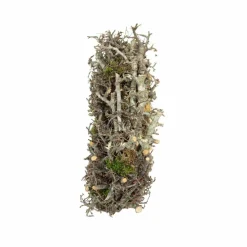 Tannenzweige, Naturkranz Bonsai Moos, 30 cm