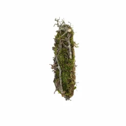 Tannenzweige, Naturkranz Moos Bonsais Larix Naturel, 30 cm