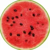 Tischset »Sandia«, rund, Kunstleder, rot/grün