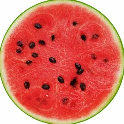 Tischset »Sandia«, rund, Kunstleder, rot/grün