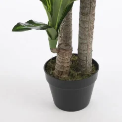 Topfpflanze »Mica Plants All Seasons«