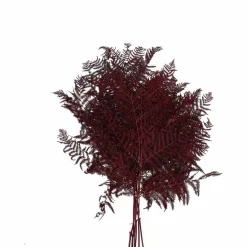 Trockenblumen