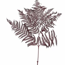 Trockenblumen