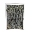 Trockenblumen