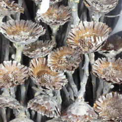 Trockenblumen