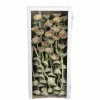 Trockenblumen
