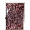 Trockenblumen