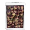 Trockenblumen »Artischocke«