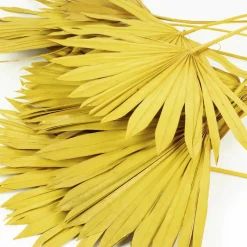 Trockenblumen »Palmsun«