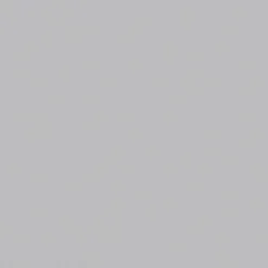 Verdunkelungsrollo »DBL F06 4204«, grau, Polyester