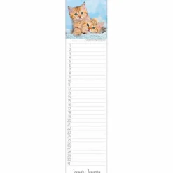 Wandkalender, BxH: 48 x 11 cm, Blattanzahl: 13